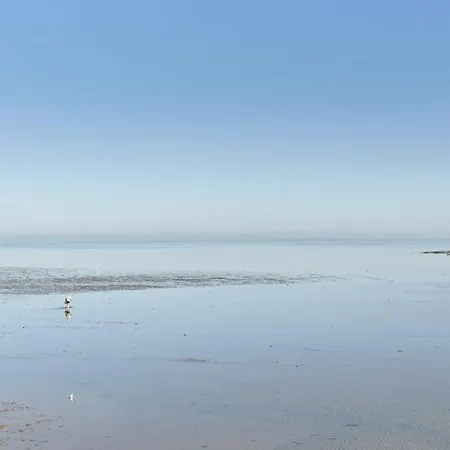 Maison Avec Jardin Pour 8 A 550m De La * Barbâtre