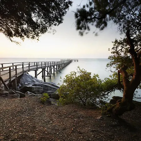 Maison Avec Jardin Pour 8 A 550m De La Prázdninový dům